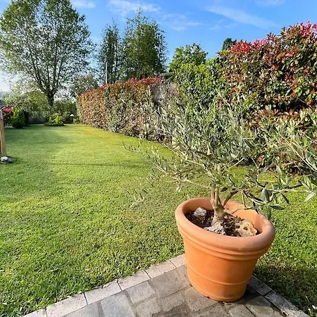 Discreta Villa Forte dei Marmi